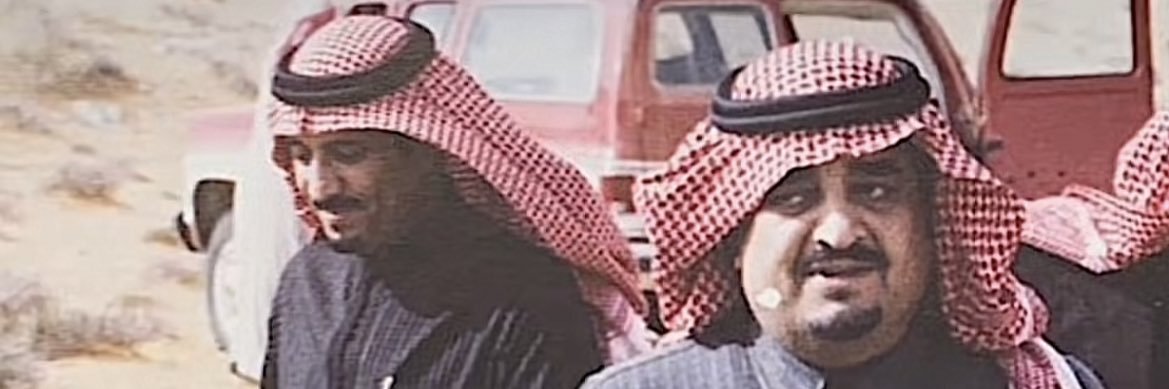 SenseiCheetah's profile banner image