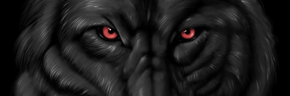 MDesgraado's profile banner image