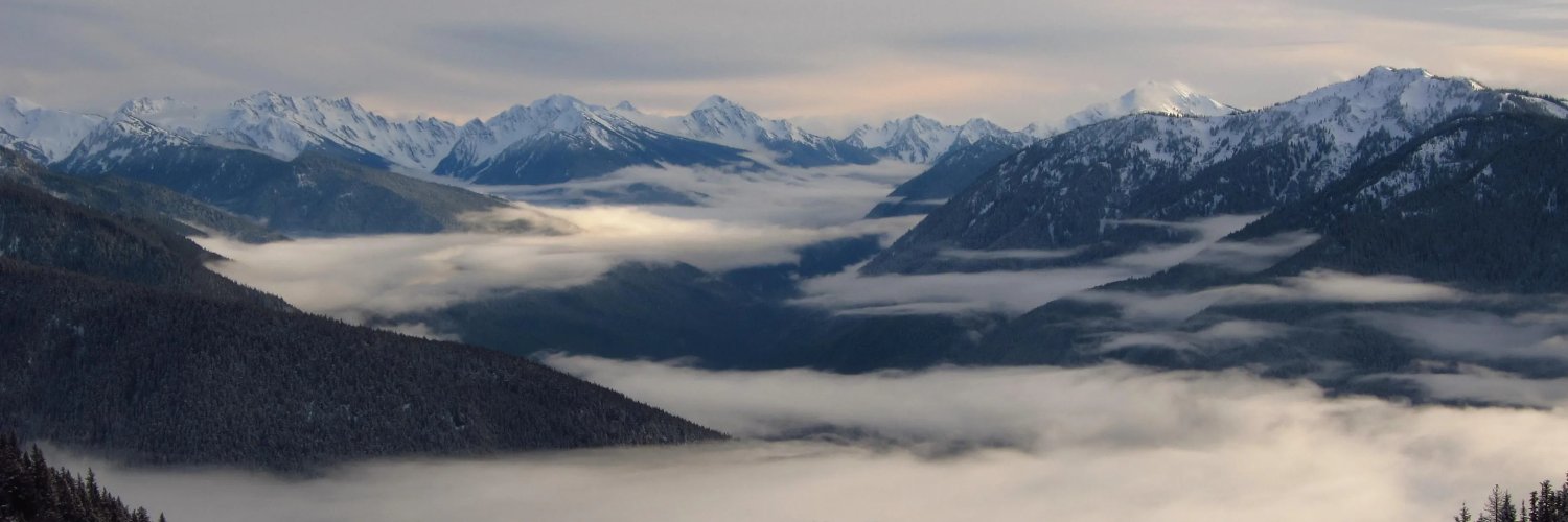 Seattle Stone banner