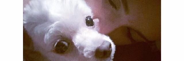 patatinha_'s profile banner image