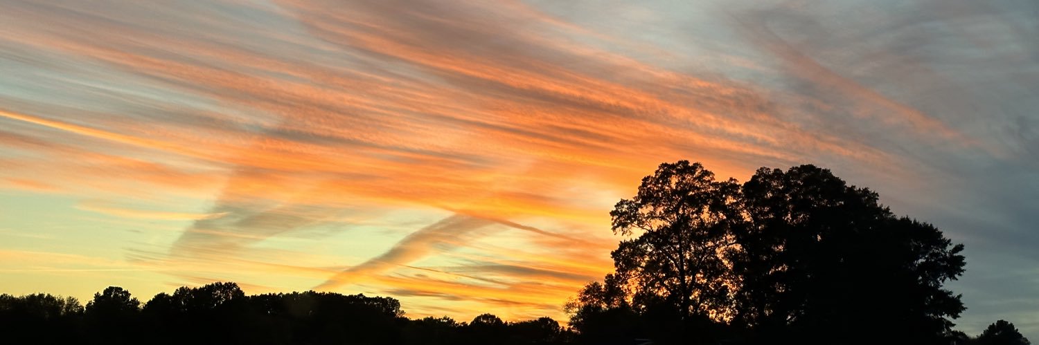 Chris Tannery banner