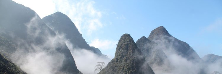 MeierhoferTest's profile banner image