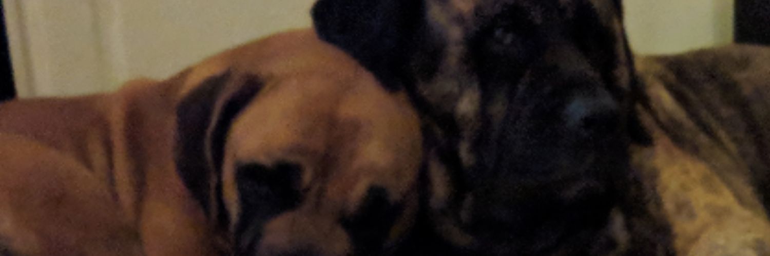 Scott_Howie's profile banner image