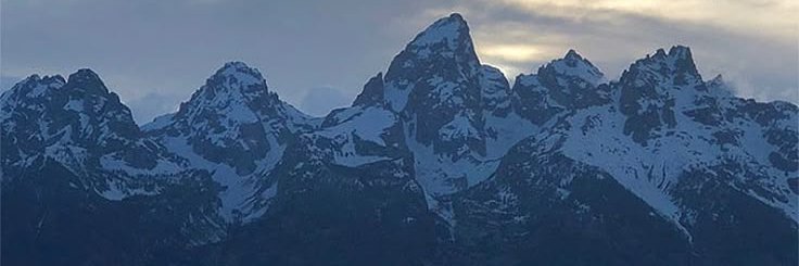 In His Own Image banner