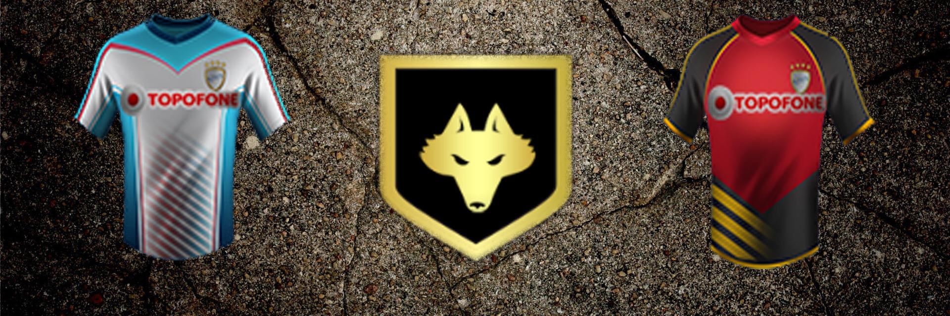DankoFC's profile banner image