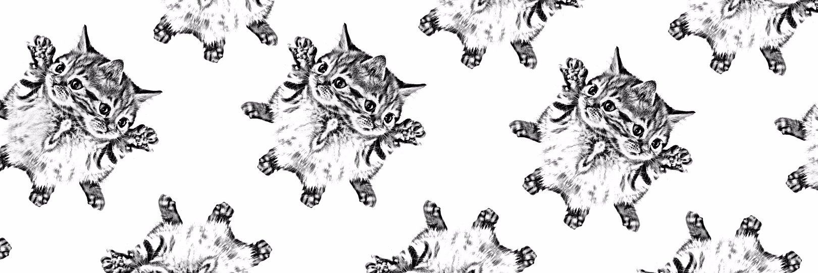 Jung Katz banner