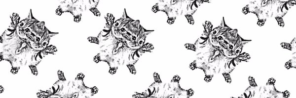 JungKatzBlog Profile Banner