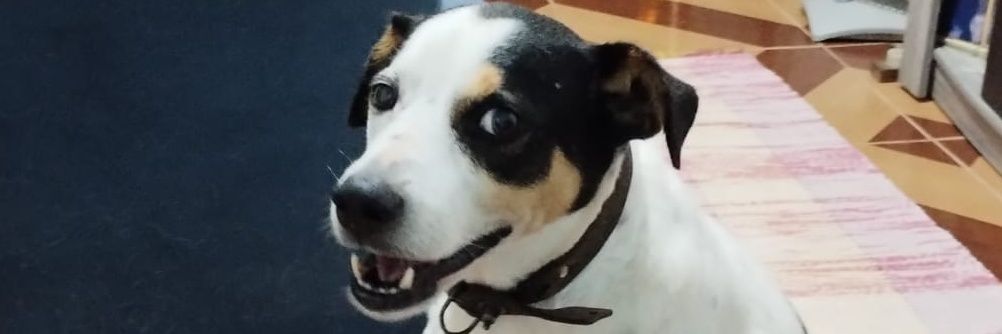 ItsSmile_e's profile banner image