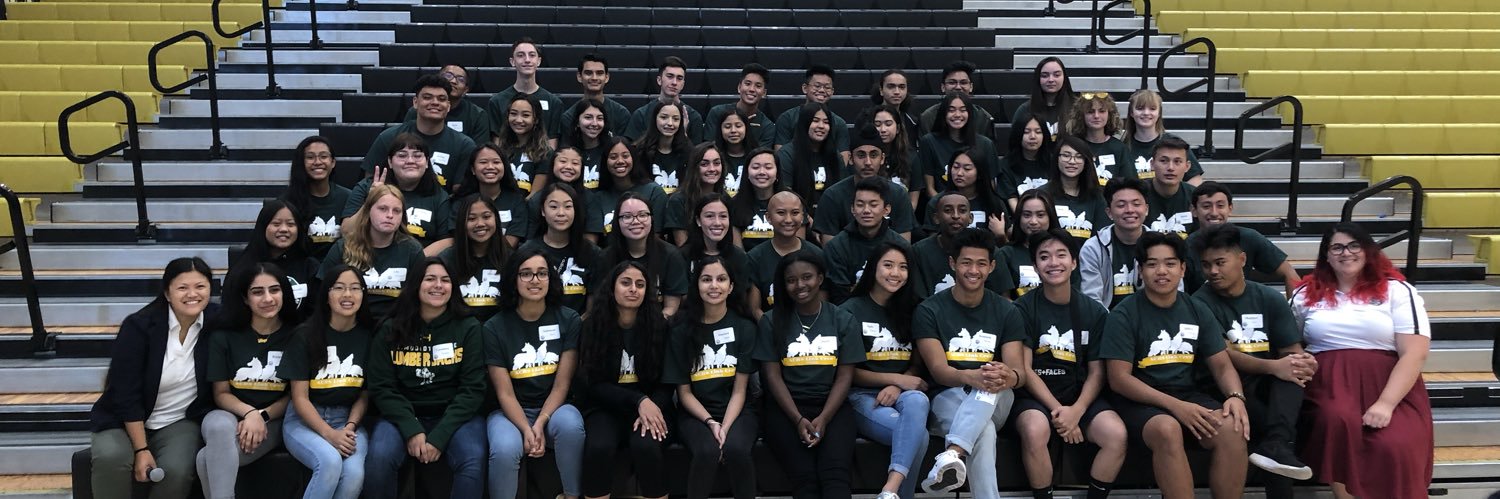 ACHS Link Crew banner