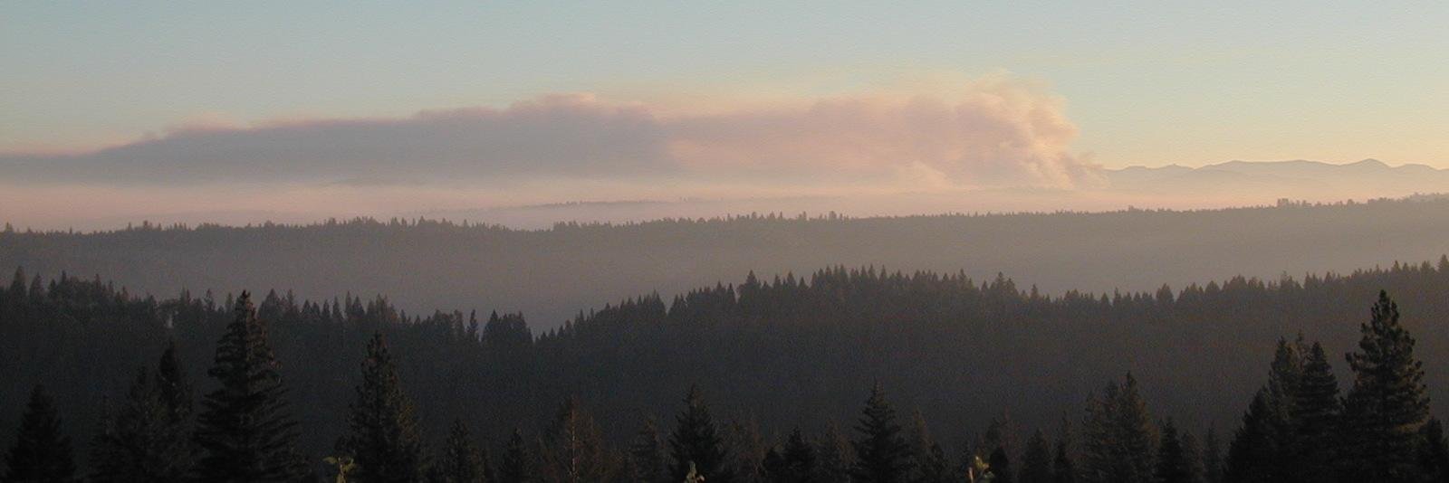 UCforestcenter's profile banner image