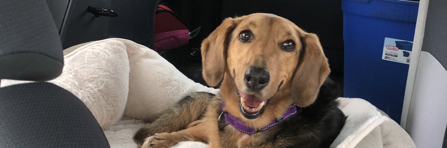 katierene's profile banner image
