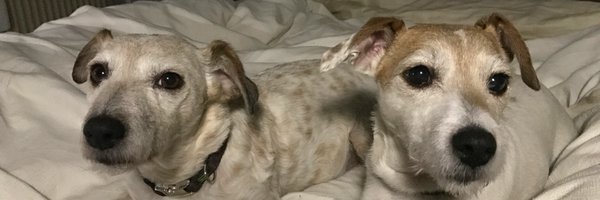sooshboosh Profile Banner