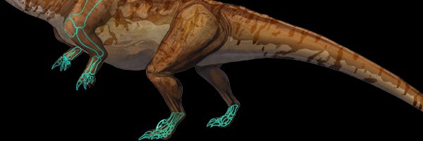 Claire Peyre de Fabrègues banner