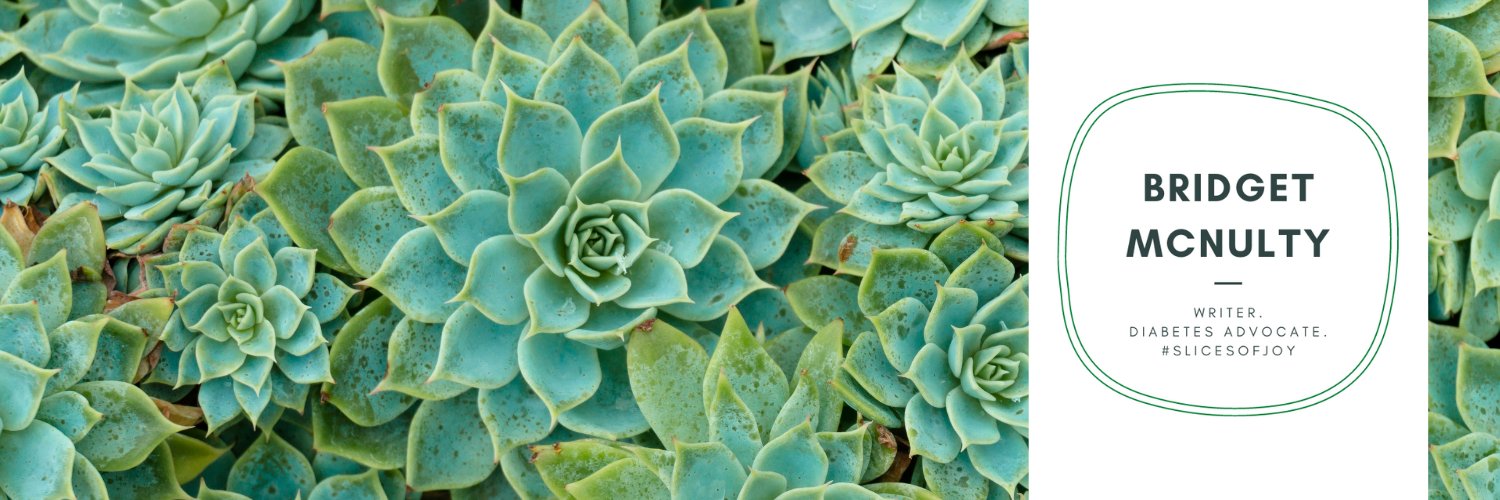 Bridget McNulty banner