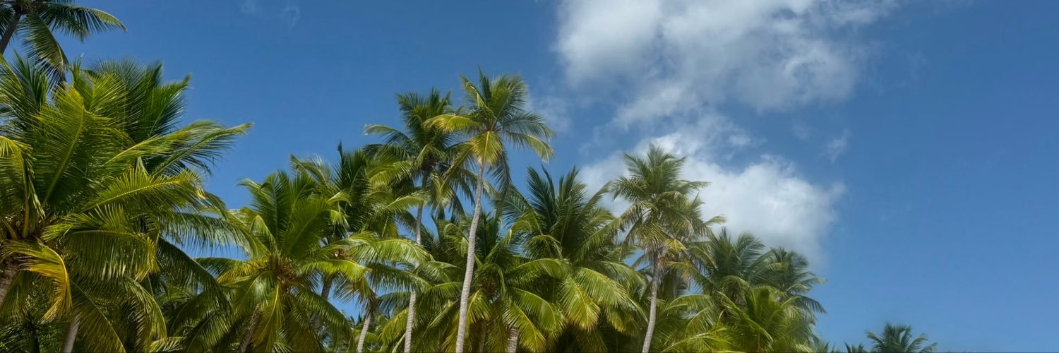 podesbazarxau's profile banner image