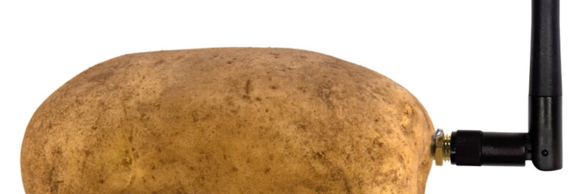 _wacey's profile banner image