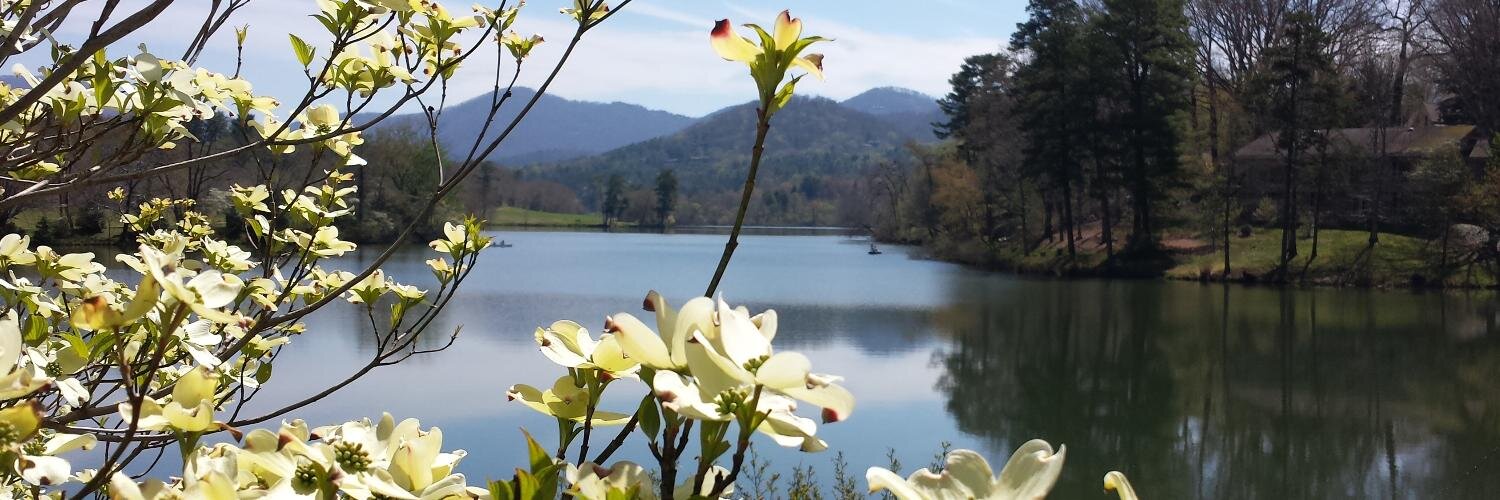 Mark Plemmons banner