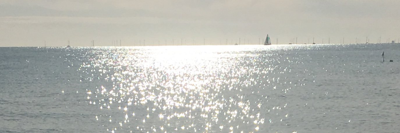 Zoë Funge-Smith banner