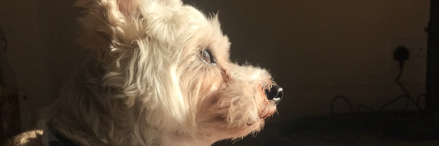 w_chitty's profile banner image