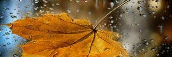 drbas121's profile banner image