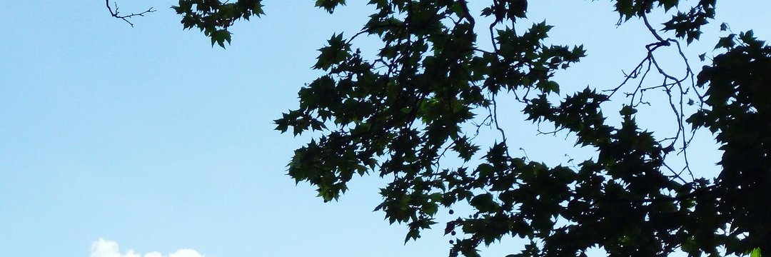thetiny91's profile banner image