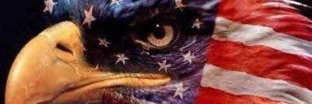 vinniegillotti's profile banner image