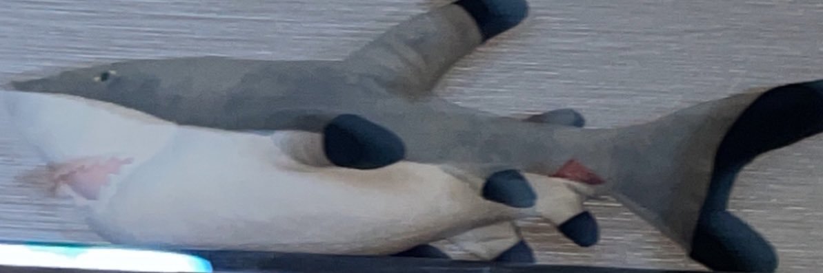 cierra_32's profile banner image