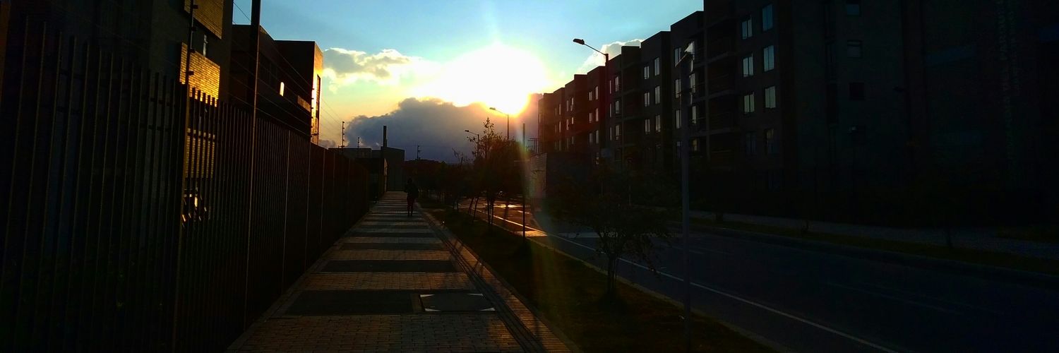 leidyra00's profile banner image