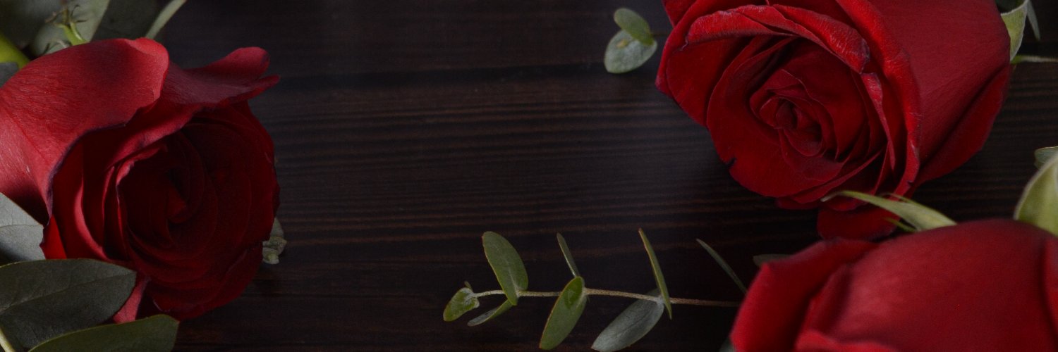 fatimaluxan's profile banner image