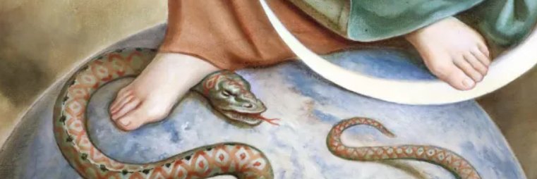 🇨🇱 IZQUIERDISTA banner