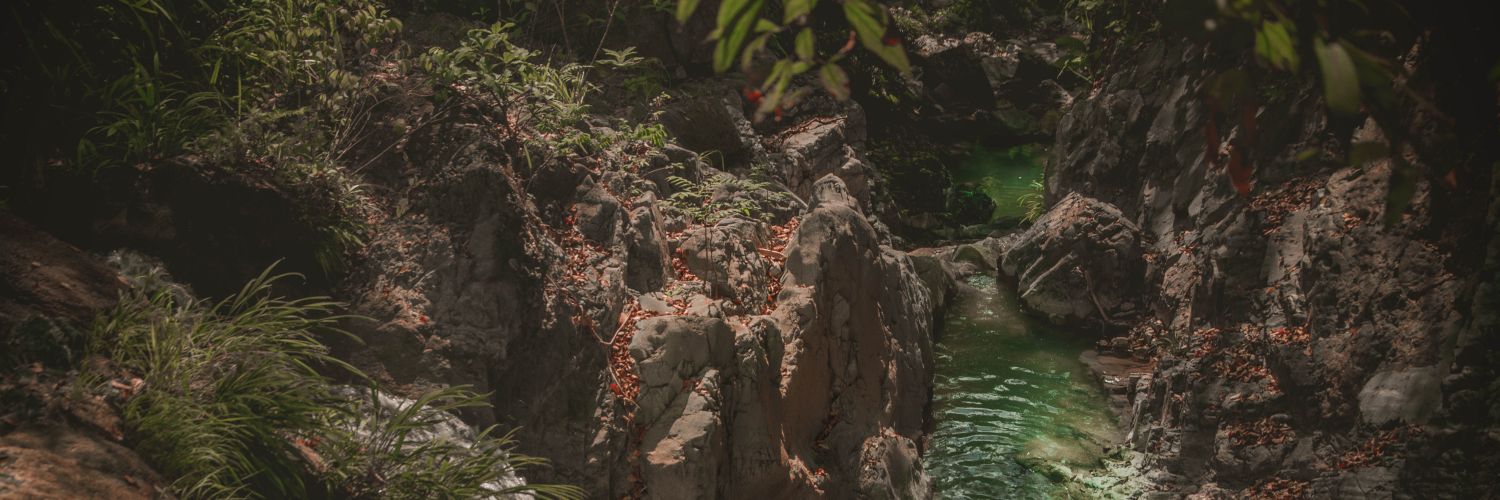 Yo_K00K's profile banner image
