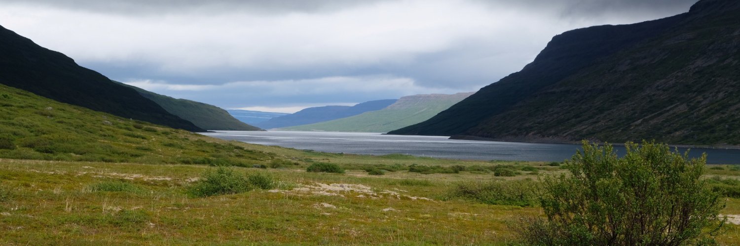 Halldór Þorgeirsson banner