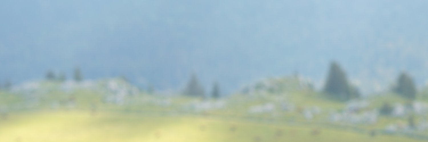 NicolasGratiot's profile banner image