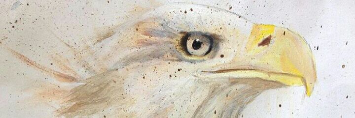 dedeserhan's profile banner image
