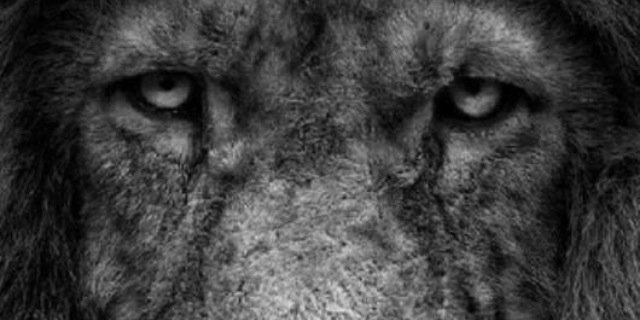 KpYuHotHuhBitch's profile banner image