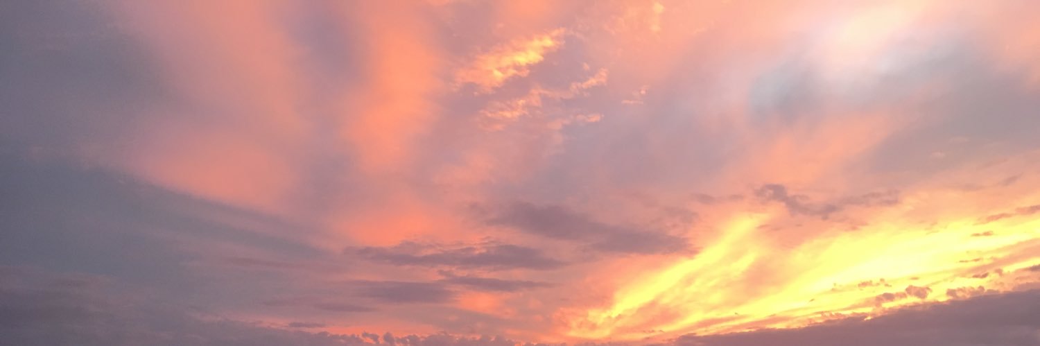 showtime_d_'s profile banner image