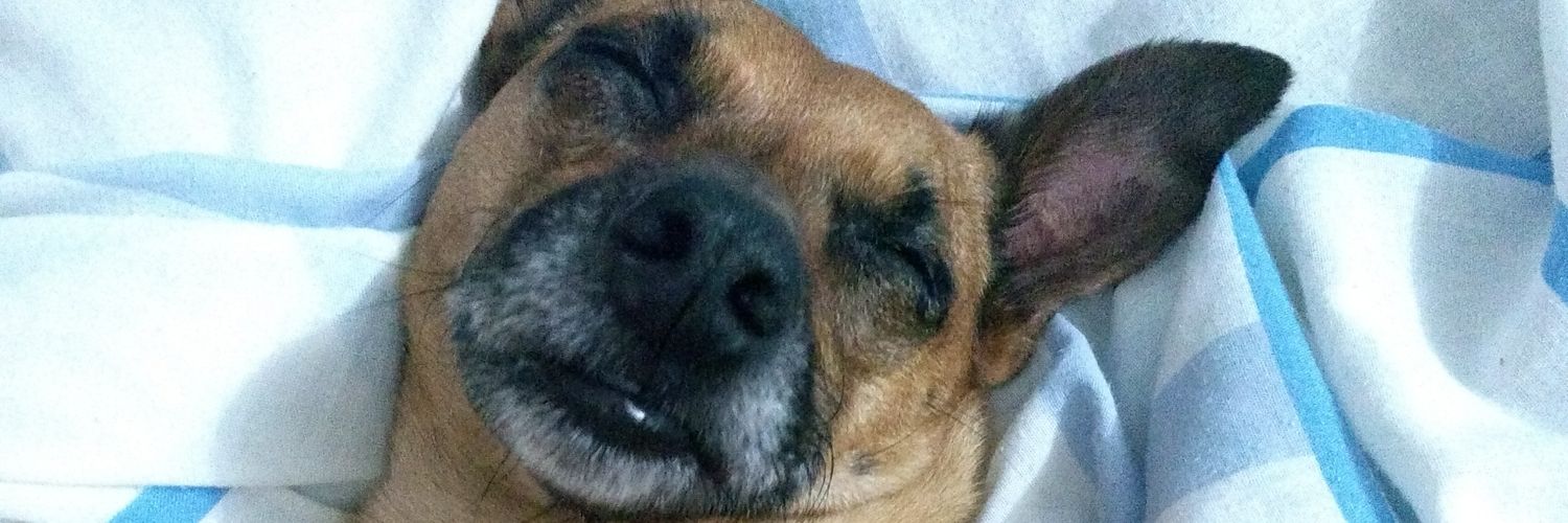 _caaholiveiras2's profile banner image