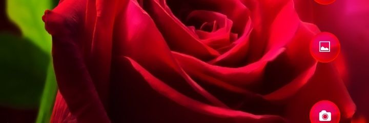 Victoria Mendoza banner