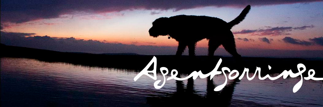 agentgorringe's profile banner image