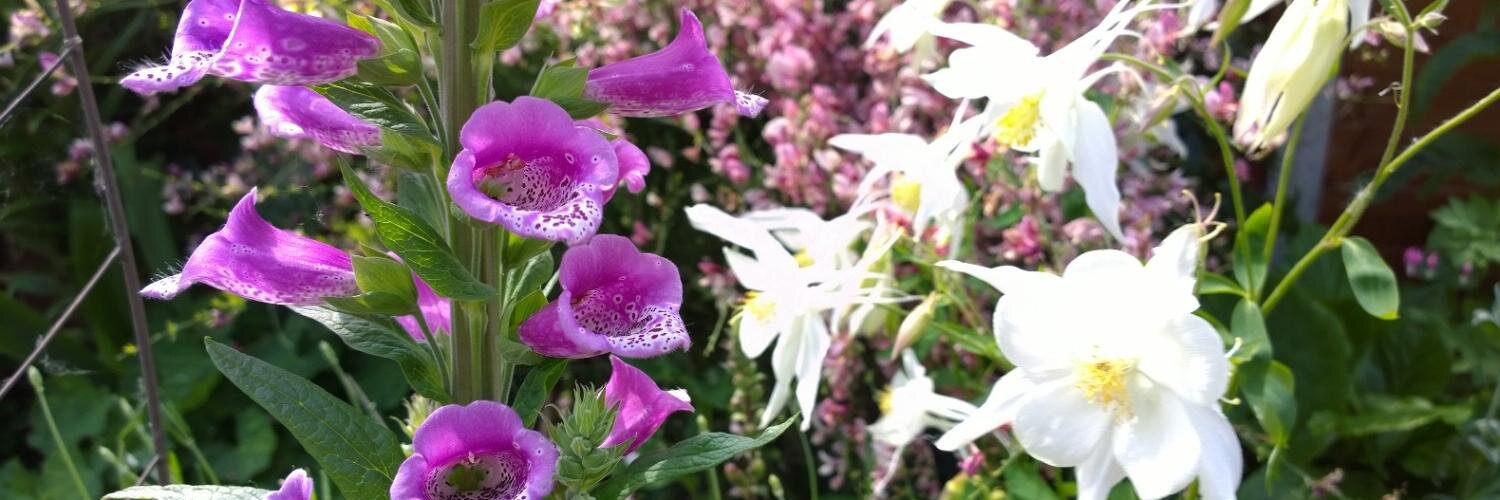 Kate DaCosta-Greaves banner