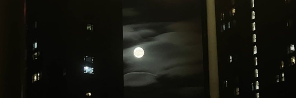 axstoresix's profile banner image