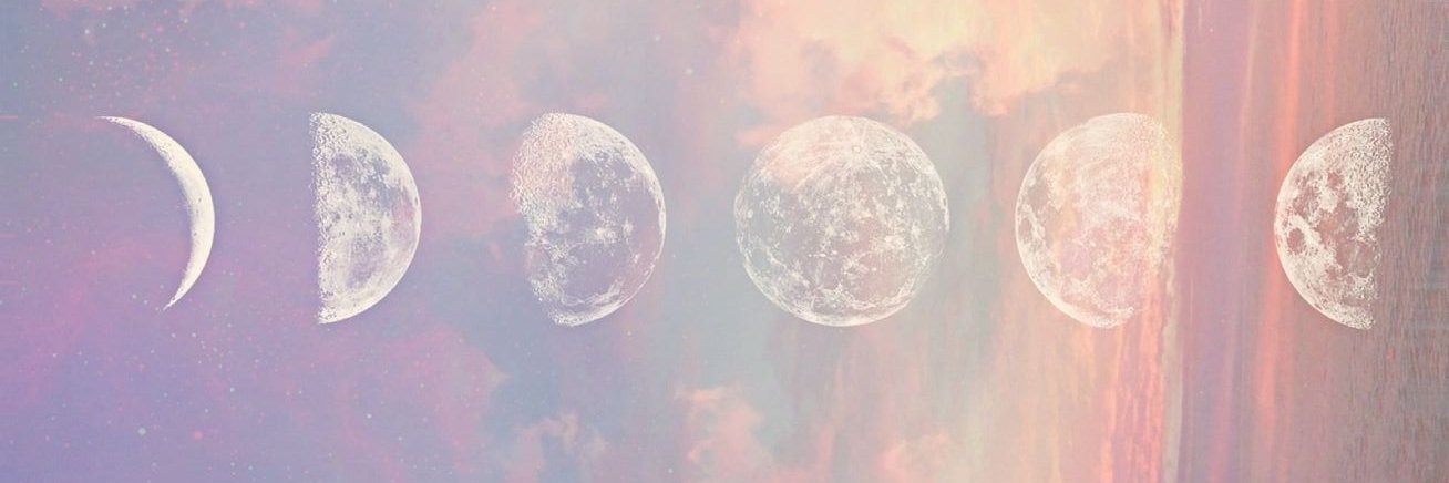 Jenifer_Lu's profile banner image
