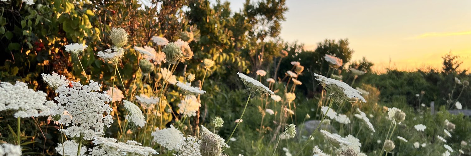 abbybaileyy's profile banner image