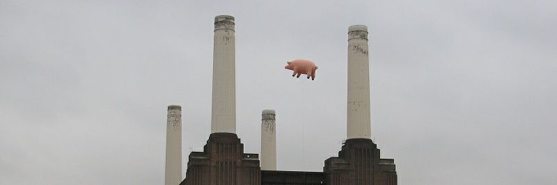 la R°X banner
