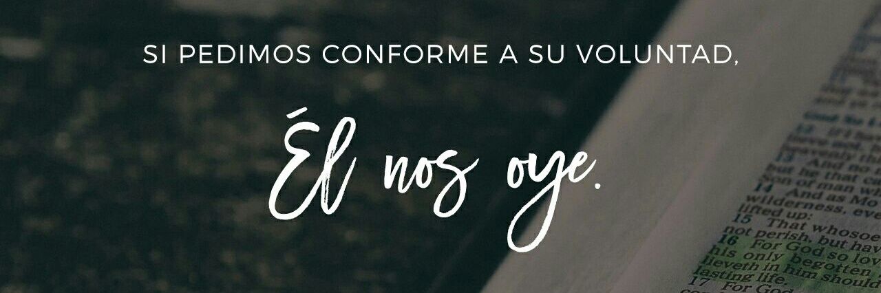 lauraromriv's profile banner image