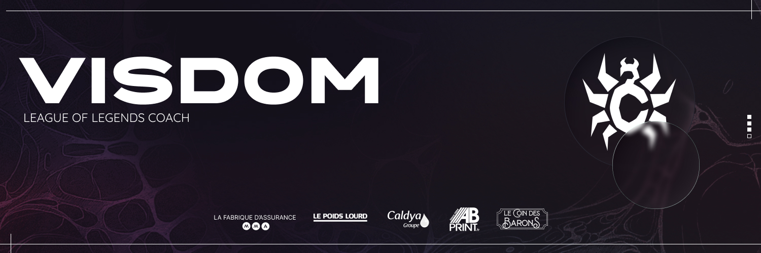 Visdom banner