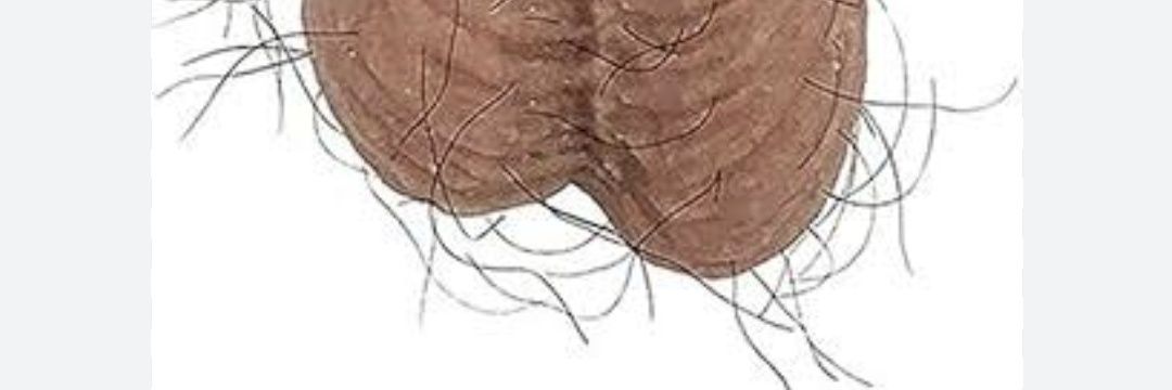 daburuda1023's profile banner image