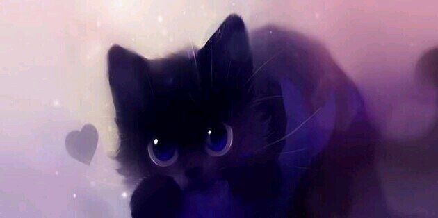 padejo4real's profile banner image