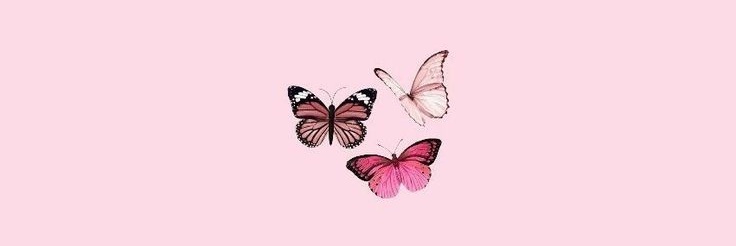 angialvarez15's profile banner image