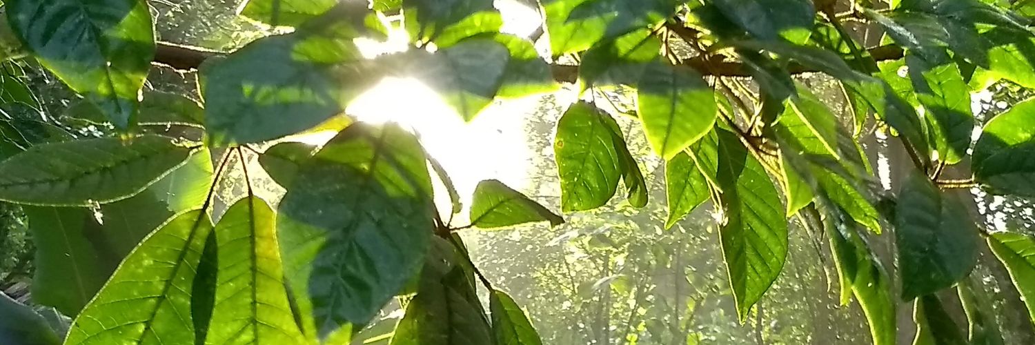 zanipio's profile banner image